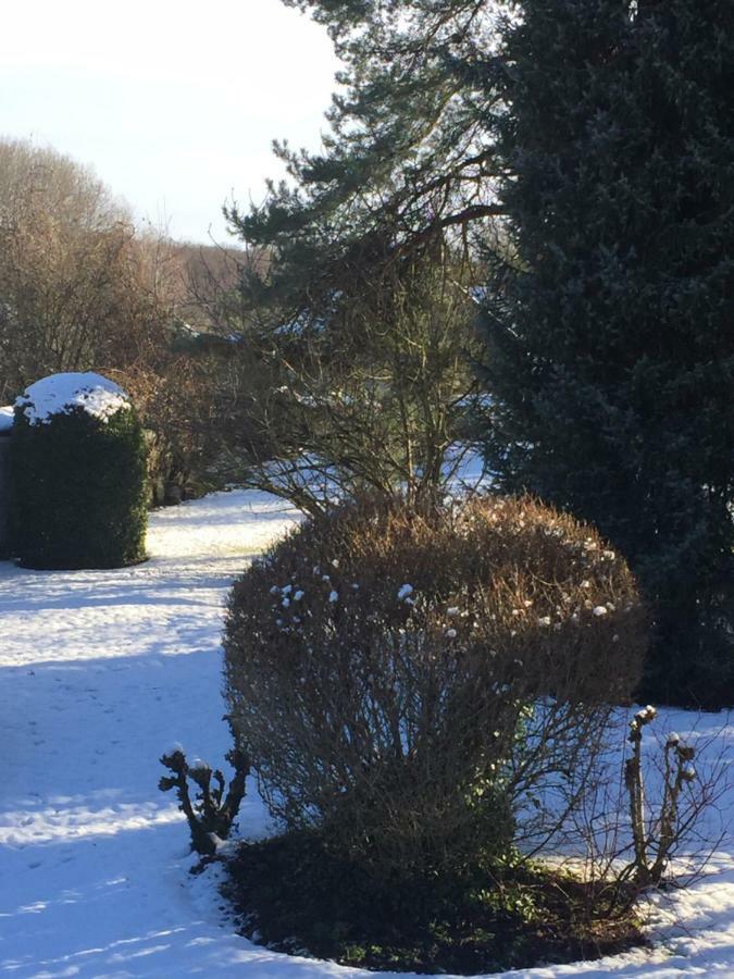 La Ferme Des Ruelles Bed and Breakfast Moigny Buitenkant foto